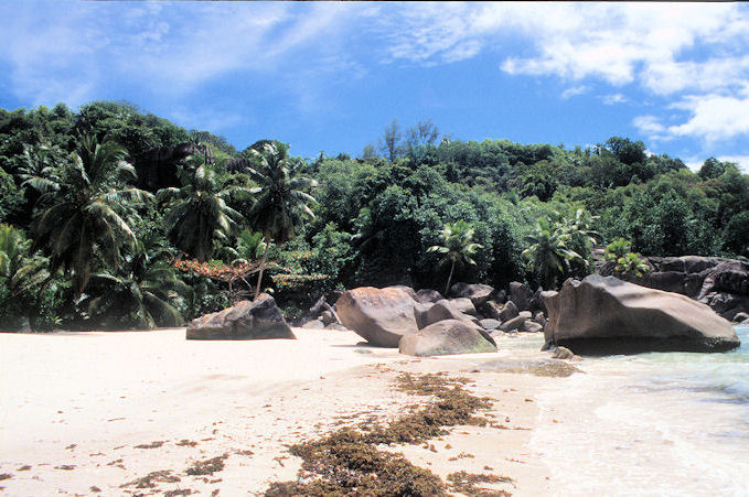 Seychellen 1999-041.jpg